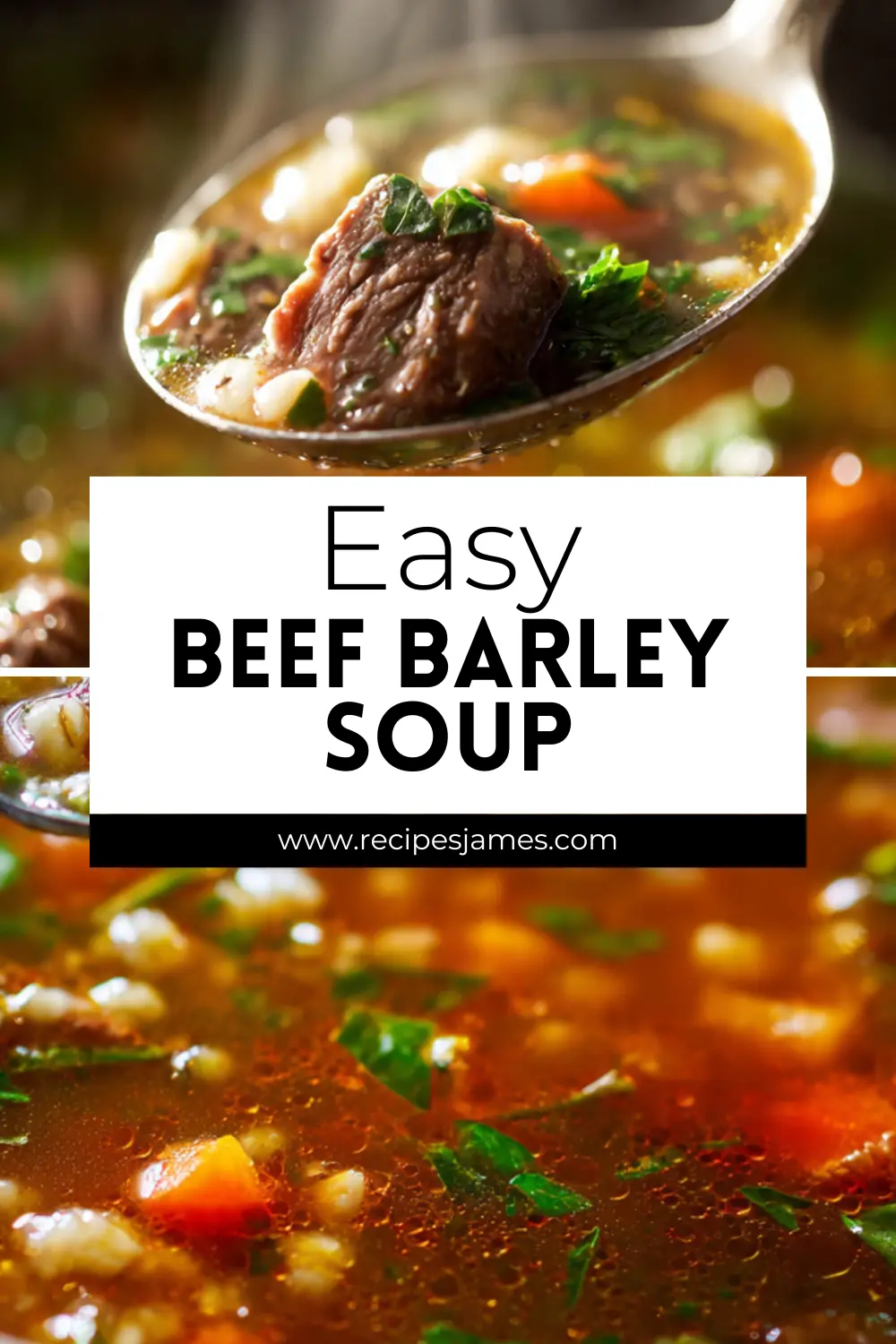 Home 57 Beef Barley Soup (Quick Comfort Bowl)