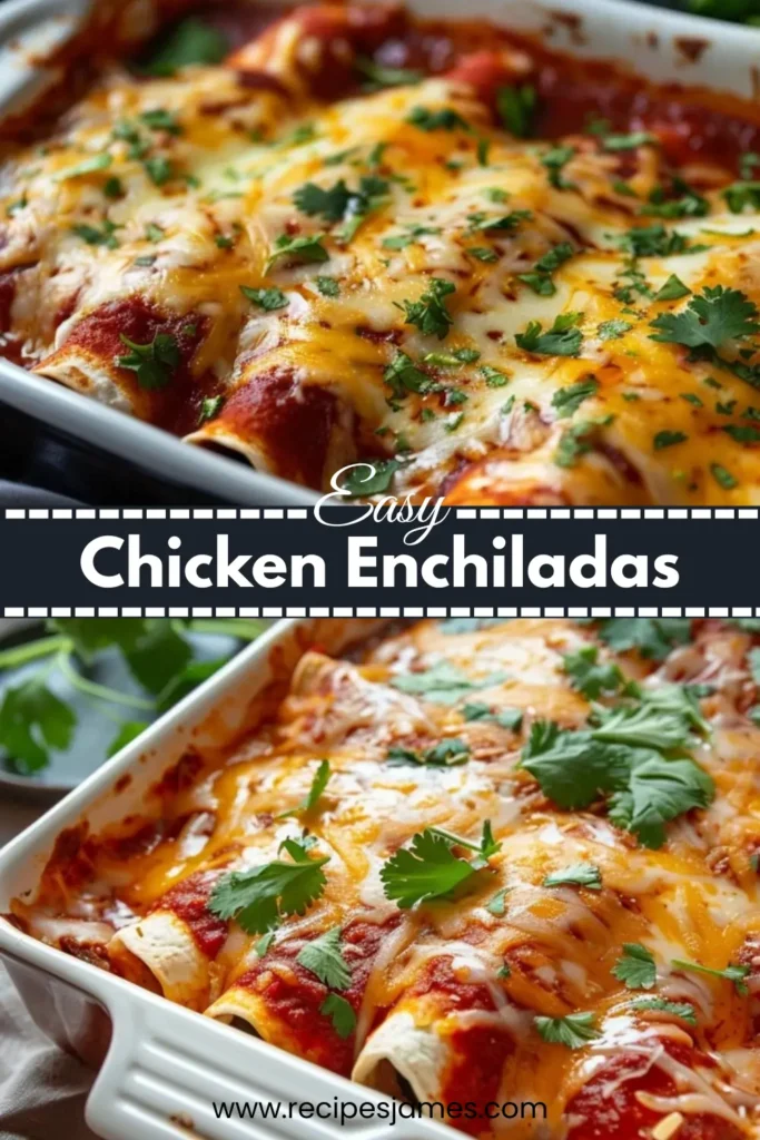 Easy Chicken Enchiladas Recipe 2 Easy Chicken Enchiladas Recipe
