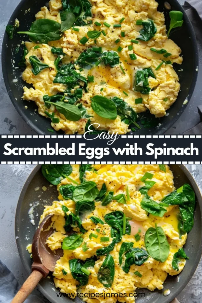 Scrambled Eggs with Spinach Recipe for Quick Healthy Breakfast 2 Scrambled Eggs with Spinach Recipe for Quick Healthy Breakfast