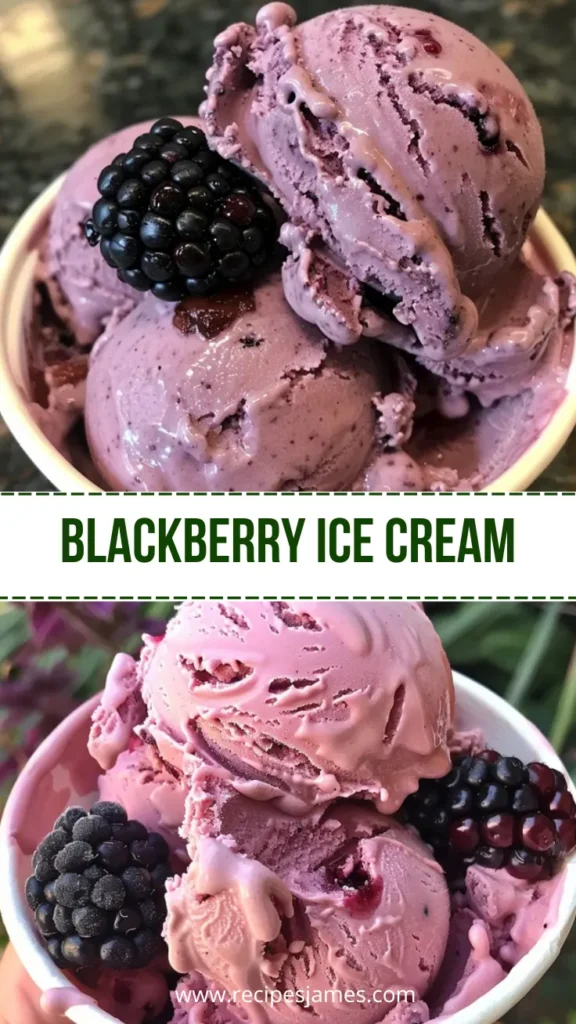 Ninja Creami Blackberry Ice Cream Easy Homemade Recipe 2 Blackberry Ice Cream