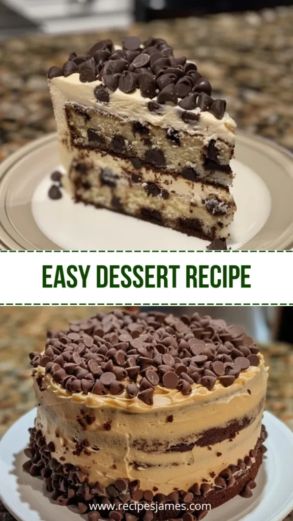 Easy Chocolate Chip Cake Simple Baking Recipe 2 Easy Dessert Recipe